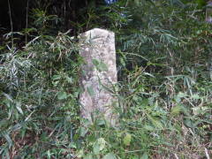 ����R�s������