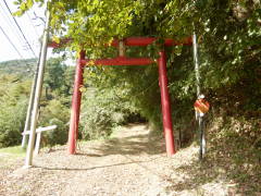 ���n�s����