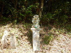 ���n�s����