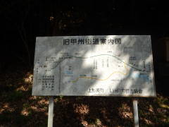 ���b�B�X���ē��}