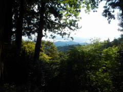 �x�m�R����