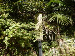 �b�B�X�����ڏh