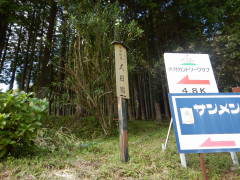 �b�B�X�����ڏh