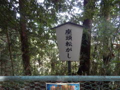 �����]����