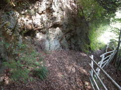 �����]����