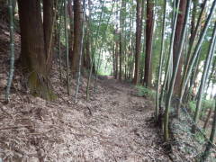 �����]����