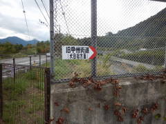 ���b�B�X�����W