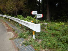 ���b�B�X�����W