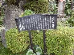 ���������N