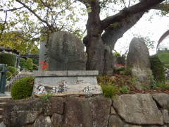 �얳�{�����󑠕�F