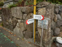 ���b�B�X�����W