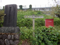 ���b�B�X�����W