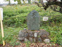 ���ʃ����