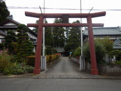 �����В���