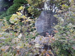 �����ϐ���