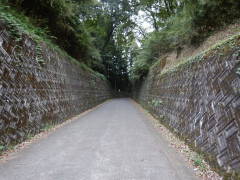 �������؂藧������