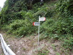 ���b�B�X�����W