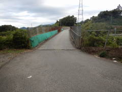 �V�I����