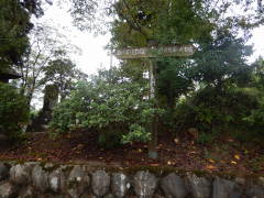 ���b�B�X�����W