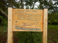 �垭�̈ꗢ�ː�