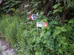 ���b�B�X�����W