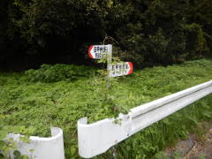 ���b�B�X�����W