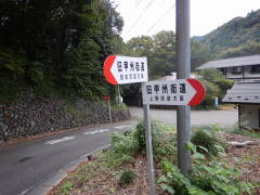 ���b�B�X�����W