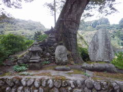 ���V�{��