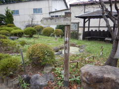 ���b�B�X�����W