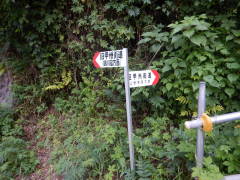 ���b�B�X�����W