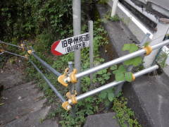 ���b�B�X�����W