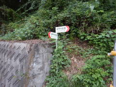 ���b�B�X�����W