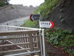 ���b�B�X�����W