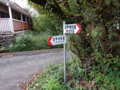 ���b�B�X�����W