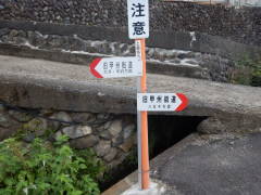 ���b�B�X�����W