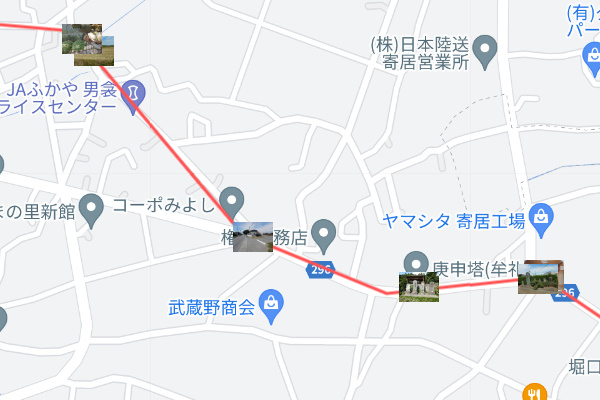 ���{����