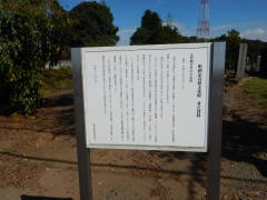 �u��ω����̐Ε��Q