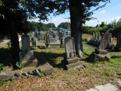 �����c���q���E�M�\���E�单�V