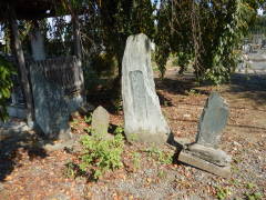 �M�\���E�n���ϐ���