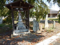 ��ʈ��S�n����