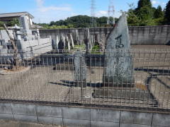 �n���ϐ���