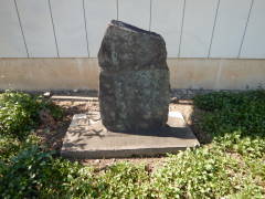 �n���ϐ���