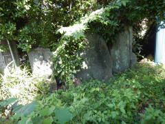 �单�V�E�n���ϐ���