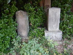 �M�\���E�M�\���{��