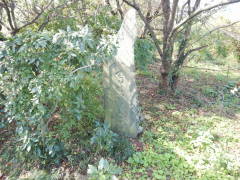 �n���ϐ���