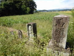 �����c�n������