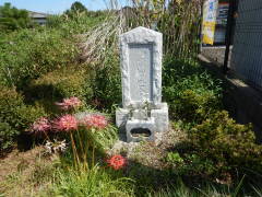 �n���ϐ���