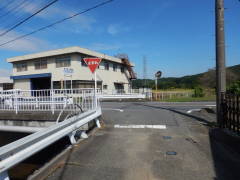 �����Q�X�U����������