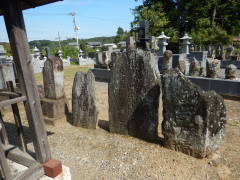 �M�\���E���{����