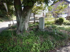 �M�\��(����)